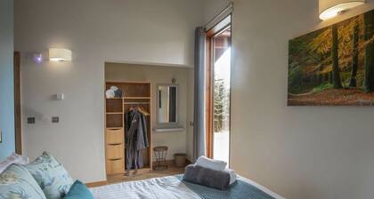 Delamere Forest Silver Birch, Frodsham