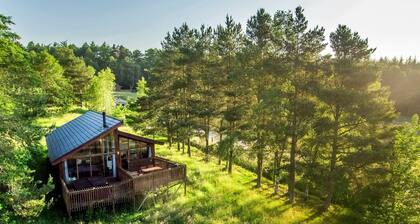Cropton Silver Birch, Cropton Forest