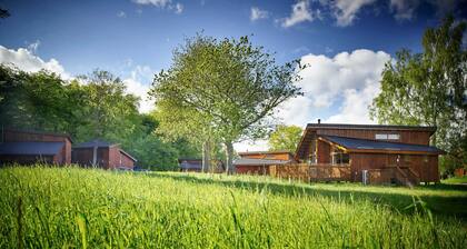 Forest of Dean Meadow - Golden Oak, Coleford