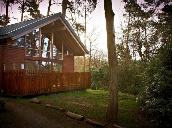 A cabin with large windows, a wooden deck, and a forested backdrop. - Strathyre Classic Silver Birch, Callander (Callander)