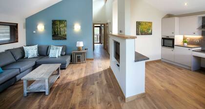 Forest of Dean Woodland - Silver Birch Cabin, Coleford