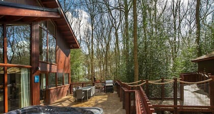 Thorpe Forest Golden Oak Treehouse, Thetford