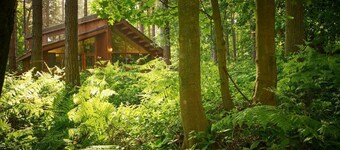 Sherwood Forest Golden Oak Hideaway, Edwinstowe