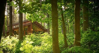 Sherwood Forest Golden Oak Hideaway, Edwinstowe