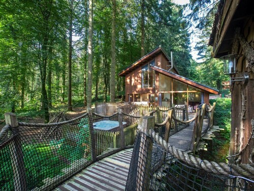 Forest of Dean Woodland - Golden Oak Treehouse, Coleford