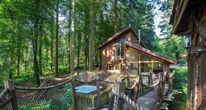 Forest of Dean Woodland - Golden Oak Treehouse, Coleford