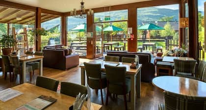 Ardgartan Argyll Golden Oak, Ardgartan, Loch Long