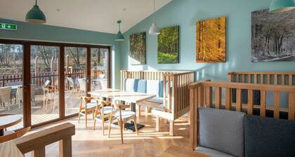 Delamere Forest Golden Oak Treehouse