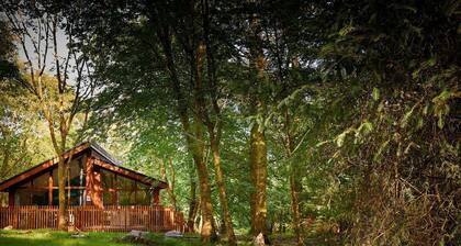 Beddgelert Golden Oak - Fresh Design, Beddgelert