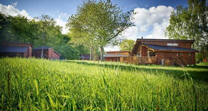 Forest of Dean Meadow - Golden Oak, Coleford