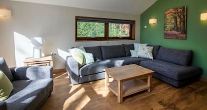 Forest of Dean Meadow - Golden Oak, Coleford