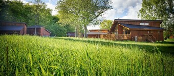 Forest of Dean Meadow - Golden Oak Treehouse, Coleford