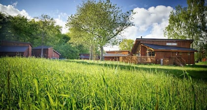 Forest of Dean Meadow - Golden Oak Treehouse, Coleford