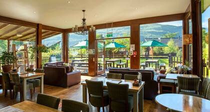 Ardgartan Argyll Silver Birch, Arrochar