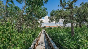 En træpromenade omgivet af frodig grøn vegetation, der fører hen mod en bygning i det fjerne med rødt tag.