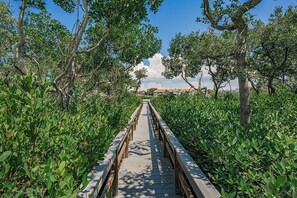 Property grounds - Gulf Glimpse Getaway • Pool • Steps to Beach (Indian Shores)