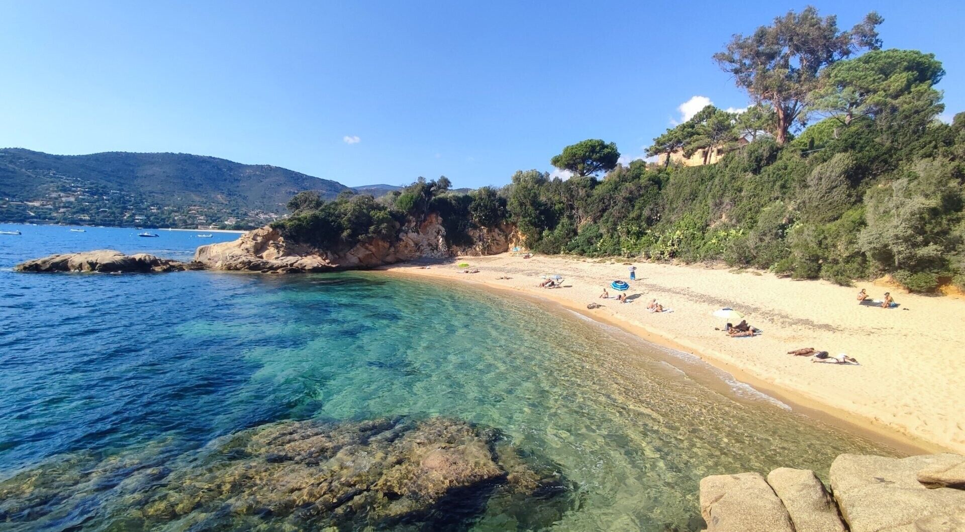 Strand