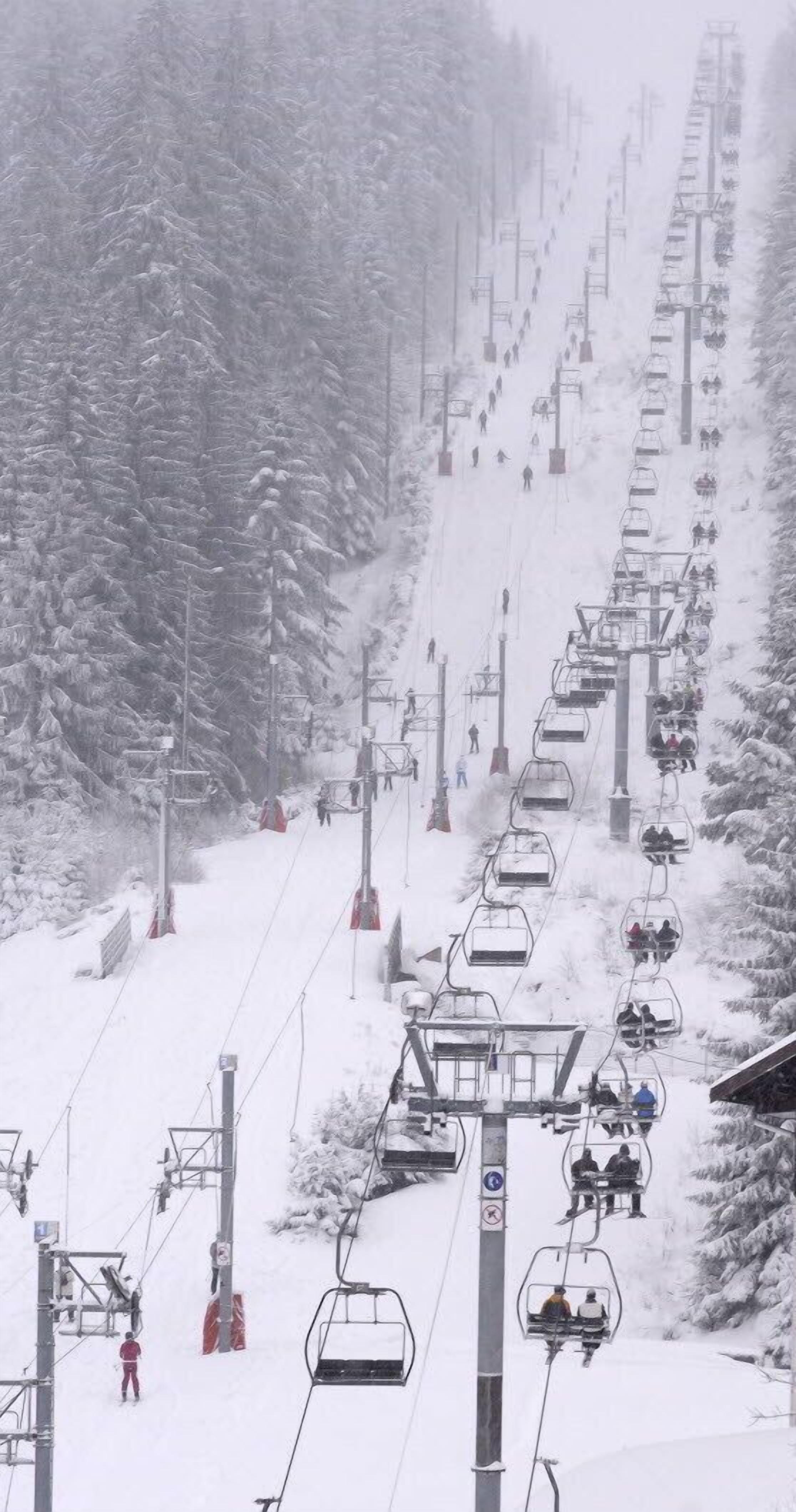 A ski lift with passengers ascending a snowy slope, surrounded by snow-covered trees.