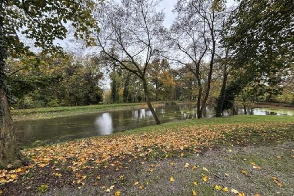 En park med en damm, träd och nedfallna löv.