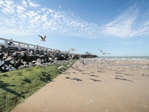 Beach nearby - Sand Beach by Interhome (Blankenberge)