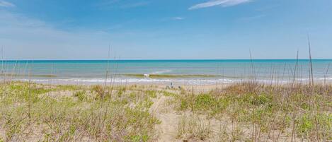 A beach path leading to the ocean with sparse vegetation.