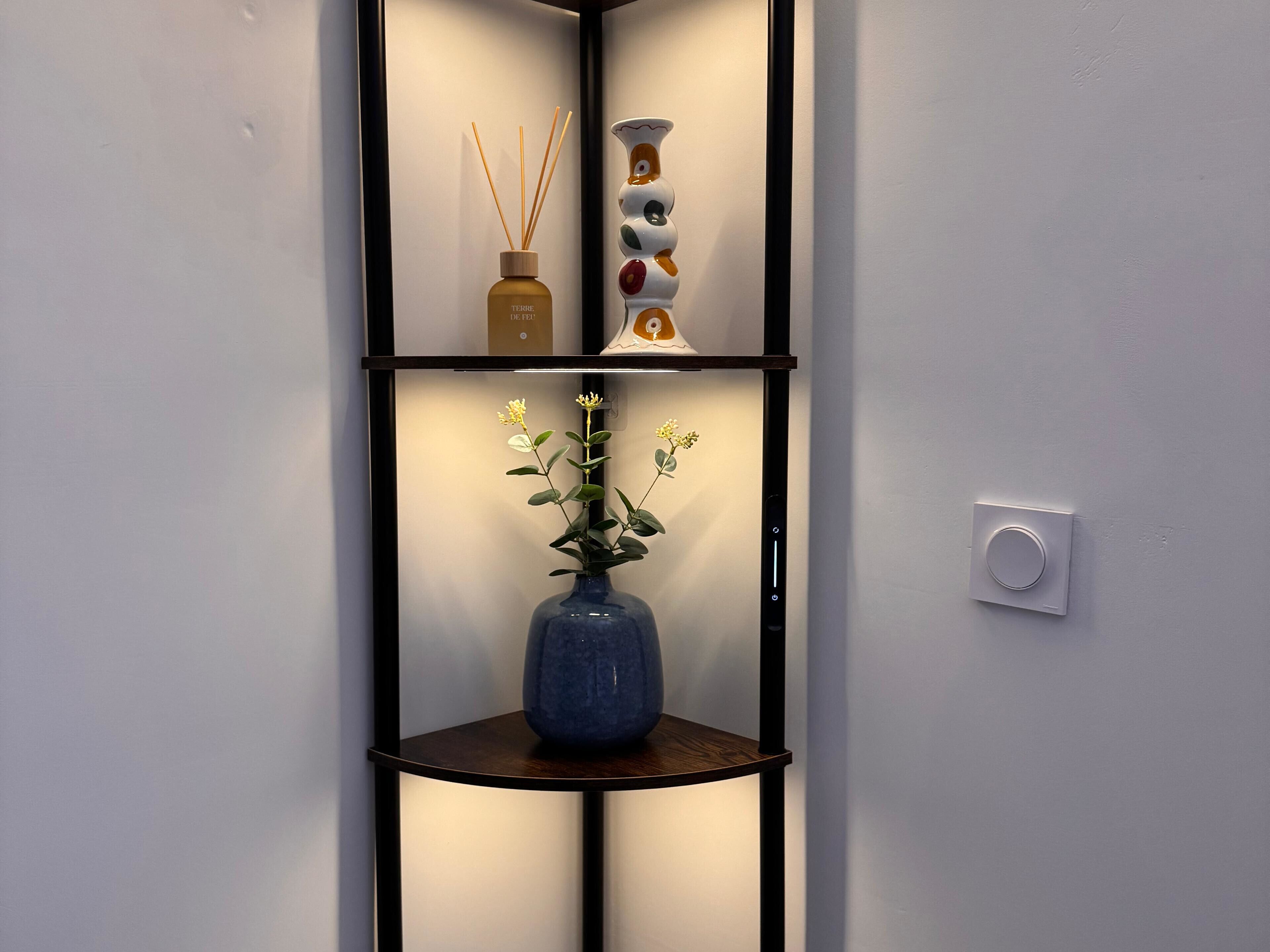 A shelf with a blue vase, a diffuser, and a decorative item.