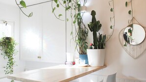Un comedor con una mesa de madera, sillas blancas, una planta de cactus y un espejo en la pared.