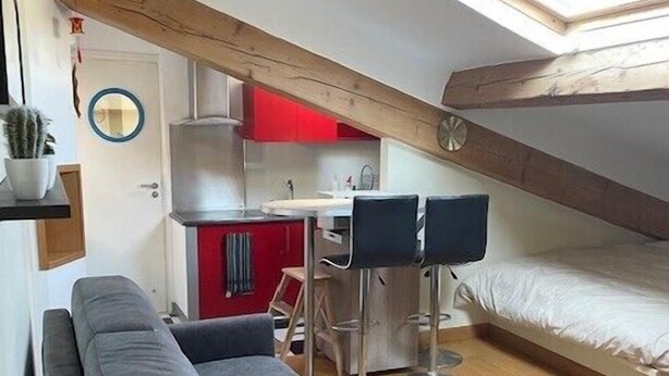 Et kompakt værelse med en køjeseng, en sofa, et lille tekøkken og et ovenlysvindue.