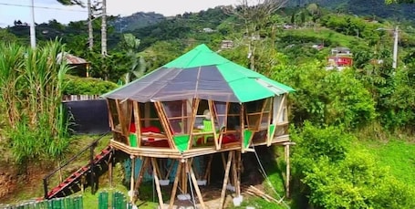 Exterior. Glamping Horse