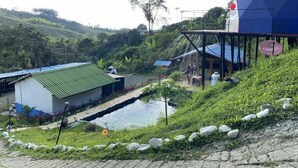 Hồ bơi