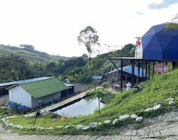 A riverside hotel with a small pool, a covered outdoor seating area, and a view of the surrounding lush greenery.