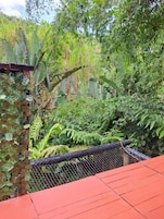 A lush garden with dense foliage and a red-roofed structure.