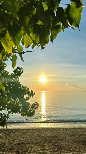 On the beach - Oceanfront Escape with Pool and Steps to Beach (Portmore)