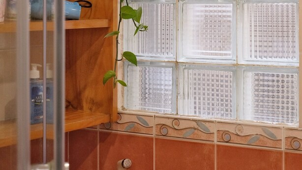 Une salle de bain avec une douche, une fenêtre à vitre dépolie et une plante en pot.