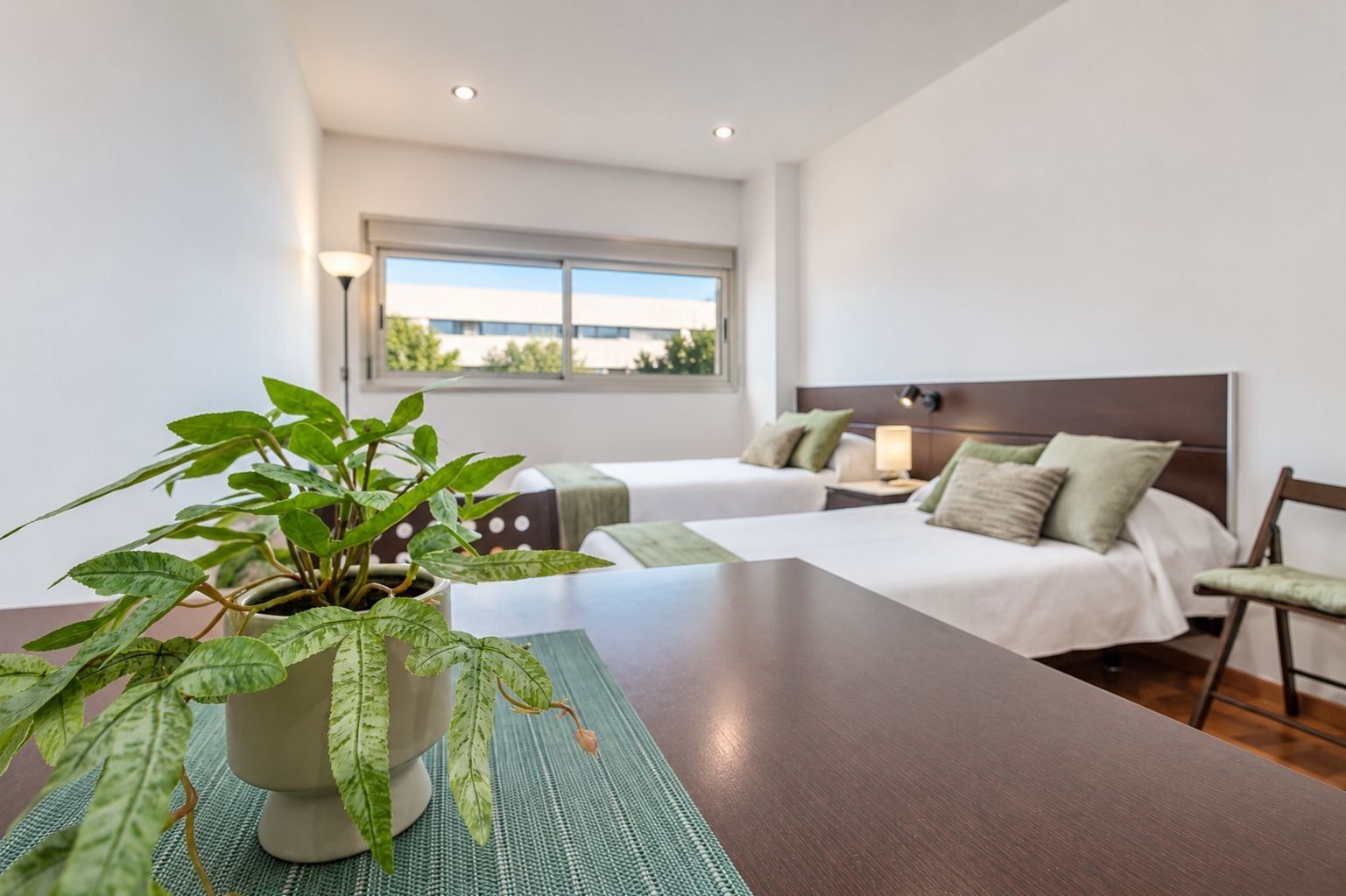 A hotel room with two beds, a large window, a potted plant, and a wooden table.