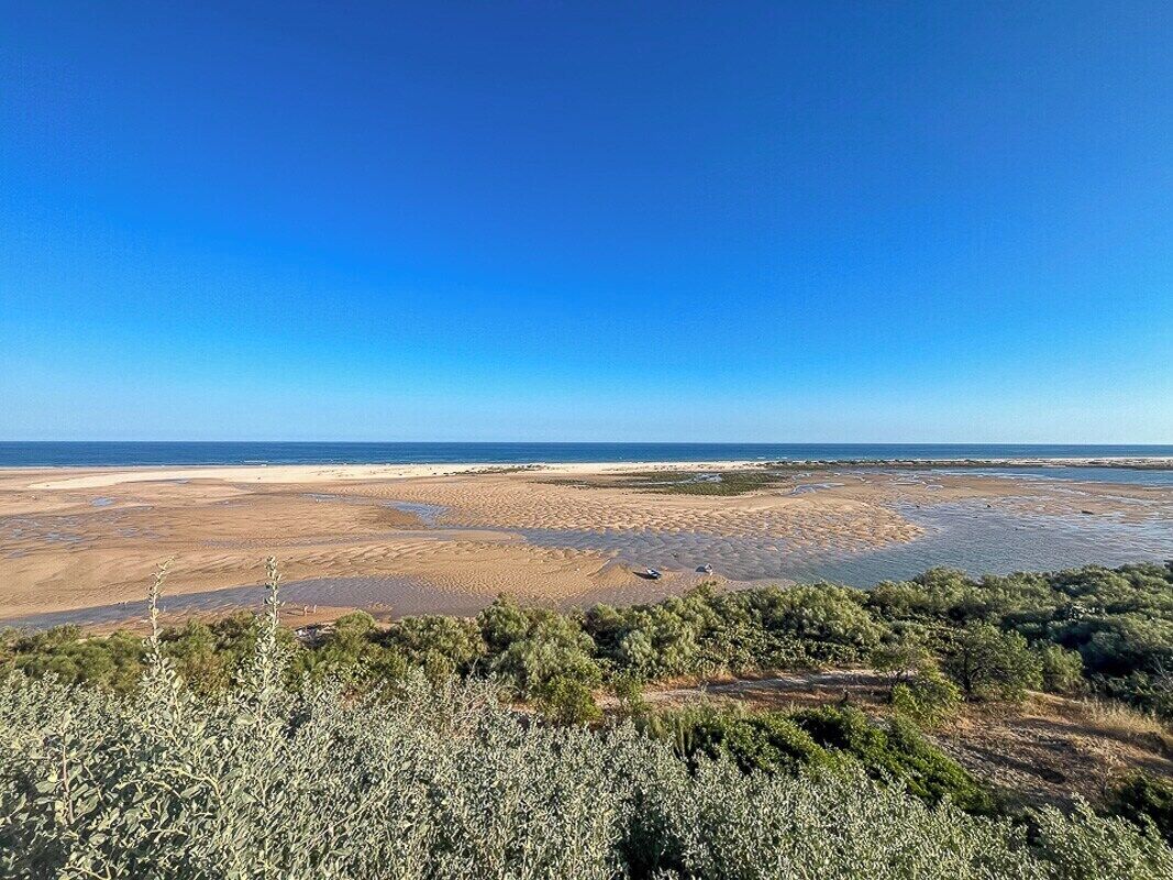 Kustlandschap met heldere lucht, zandstrand en schaarse begroeiing.