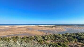 Kustlandschap met heldere lucht, zandstrand en schaarse begroeiing.