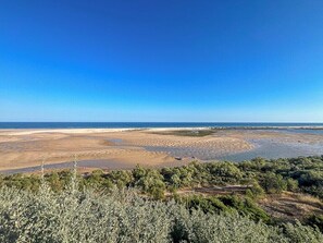 Kustlandschap met heldere lucht, zandstrand en schaarse begroeiing.