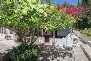 Ein Innenhof mit einem Baum, der Früchte trägt, Topfpflanzen und einem weißen Gebäude mit roten Akzenten.