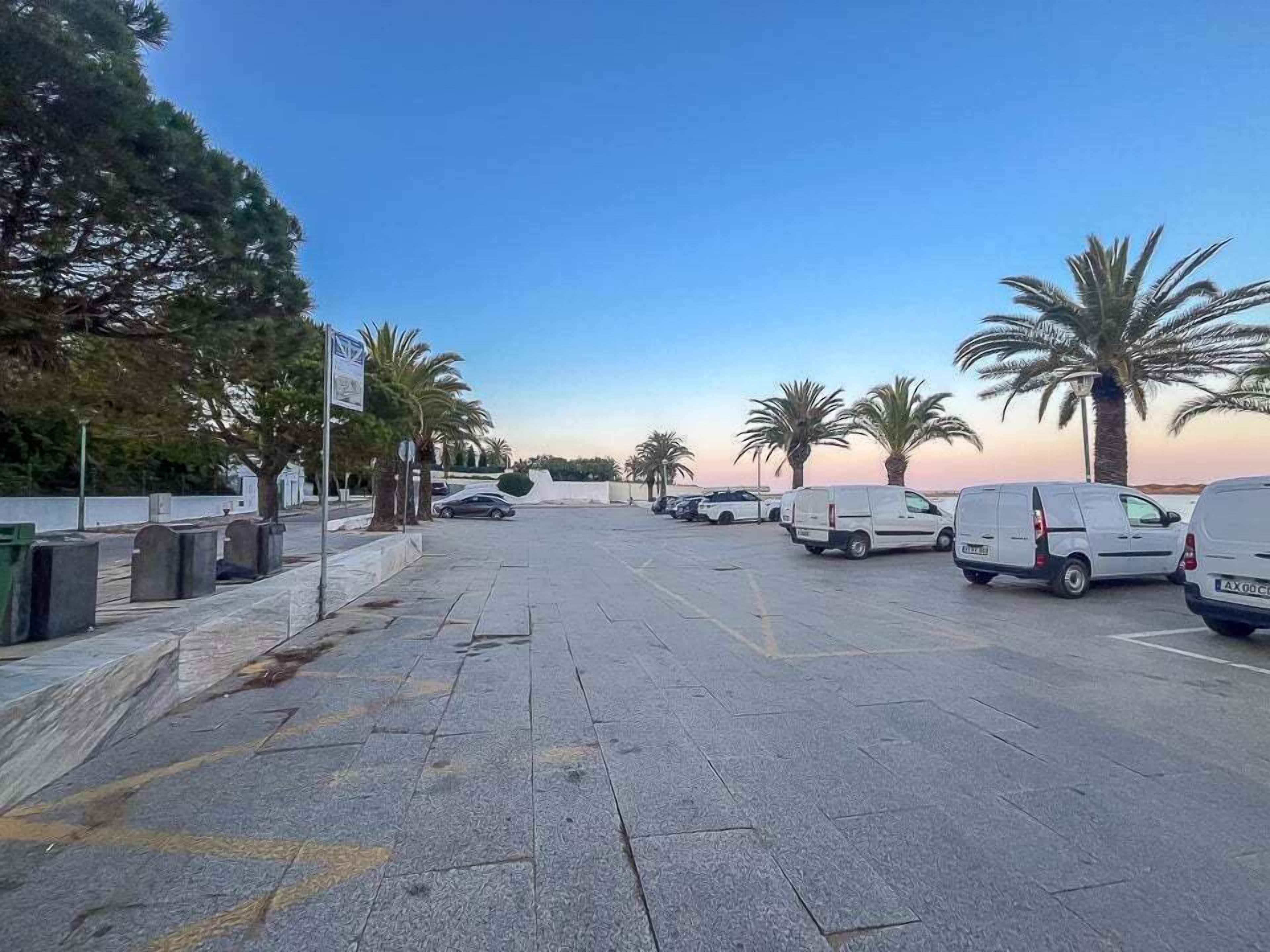 A parking lot with several white vans, palm trees, and a clear sky.