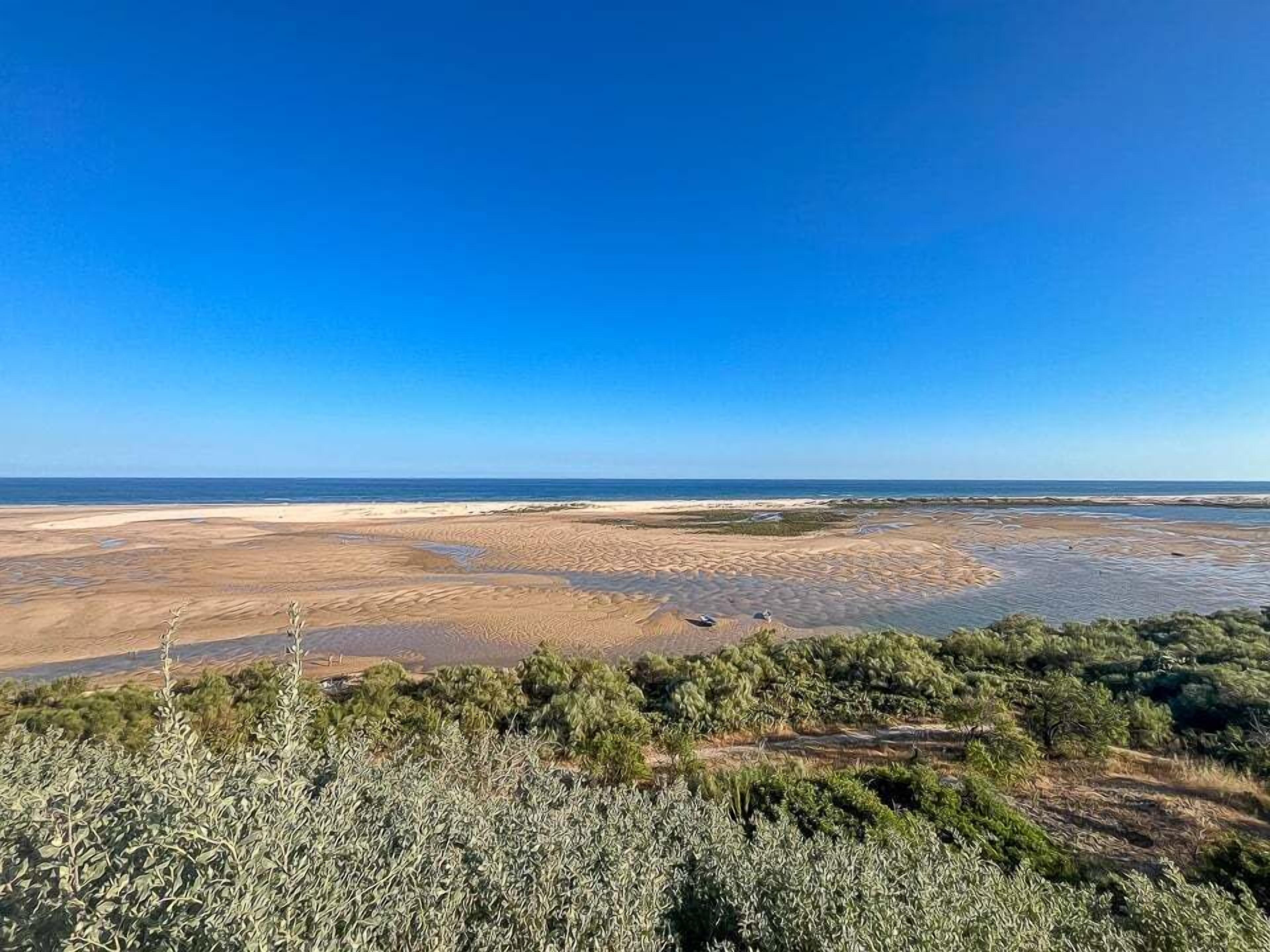 A coastal landscape with a clear sky, sandy beach, and sparse vegetation.