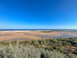 Paesaggio costiero con cielo sereno, spiaggia sabbiosa e vegetazione rada.