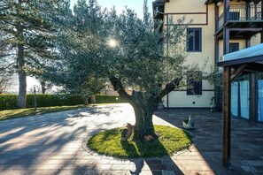 A tree-lined courtyard with a building featuring balconies and a tiled floor.