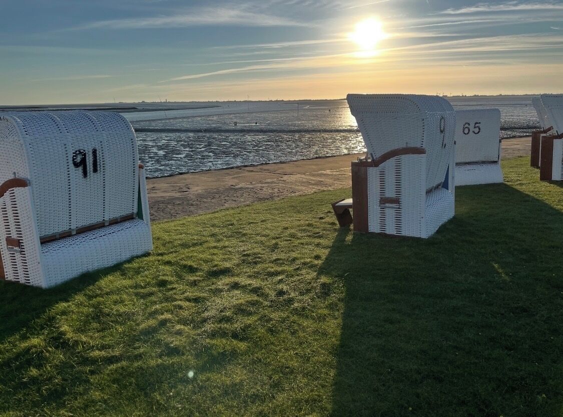 A row of white wicker chairs with numbers 91 and 65, arranged on a grassy area by the beach with the sun setting in the background.