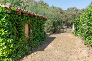 Room - Sunset Ecofinca Can Vey (Inca)