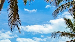 Una playa con cuatro sillas de playa alineadas, postes de madera y un cielo azul despejado con nubes.