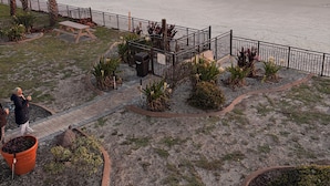 A beach view with a pathway, palm trees, and a fence. - Double King Lockout Studios - Steps to the Beach 🏖️ Tiki 🍹 Pool 🌊 (Daytona Beach)