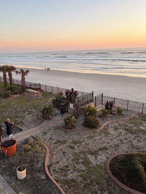 On the beach, sun-loungers - Beach Access - 2 side by side studios with lockout - Floor to ceiling Oceanviews (Daytona Beach)