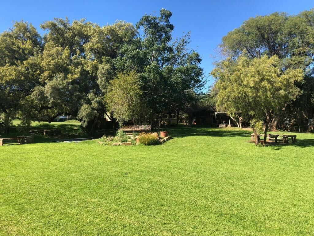 A grassy park area with trees, benches, and picnic tables.