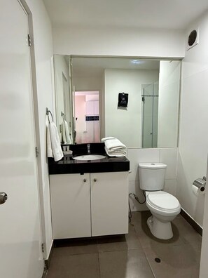 クラシック アパートメント バルコニー シティビュー | バスルーム